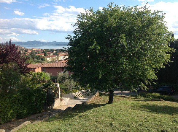 Immagine 7 di Terreno in vendita  in Via Piergiovanni Buattini a Passignano Sul Trasimeno