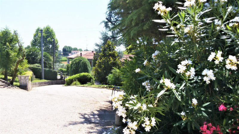 Immagine 10 di Casa indipendente in vendita  in via San Giuseppe a Lozzo Atestino