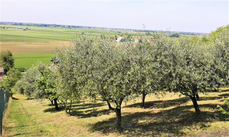 Immagine 11 di Casa indipendente in vendita  in via San Giuseppe a Lozzo Atestino