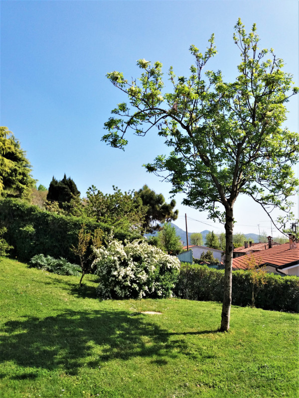 Immagine 18 di Casa indipendente in vendita  in via San Giuseppe a Lozzo Atestino