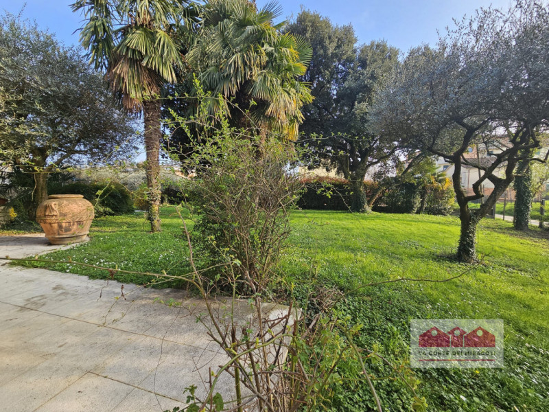 Foto annuncio 5
