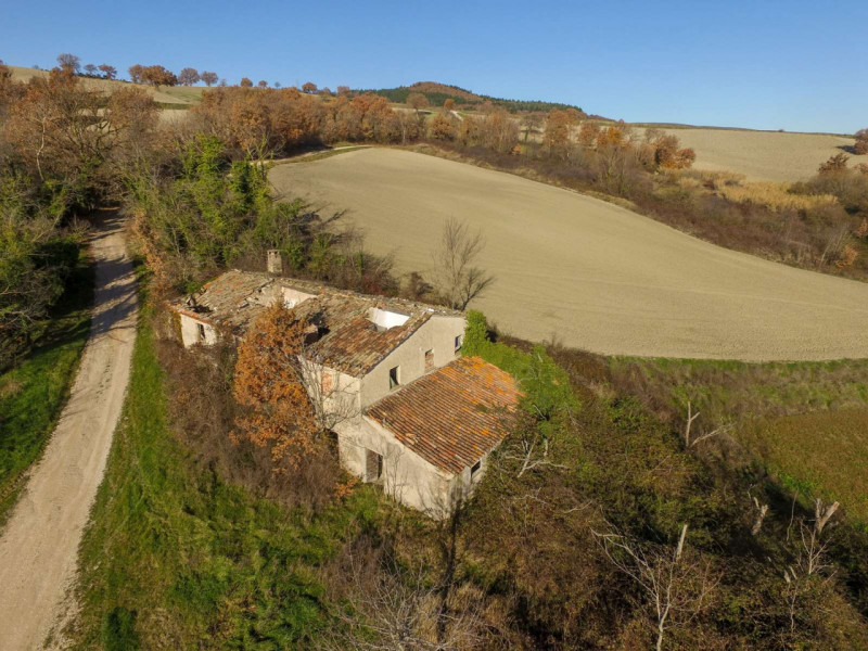 Immagine 7 di Rustico / casale in vendita  in strada Santa Barbara a Cagli