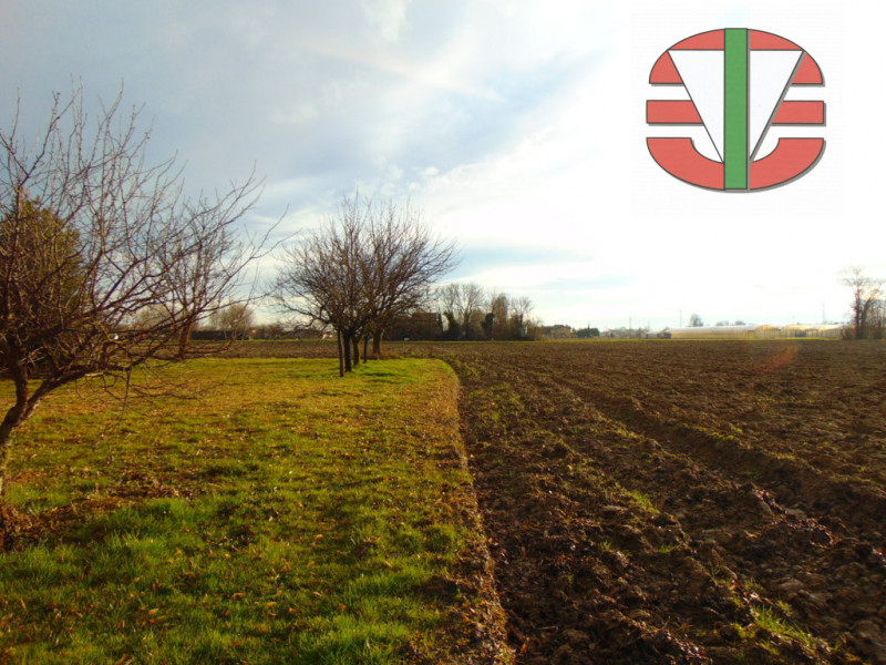 Immagine 24 di Villa in vendita  in Borgoricco a Borgoricco