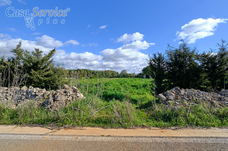 Immagine 2 di Terreno in vendita  in Località Li Foggi a Gallipoli