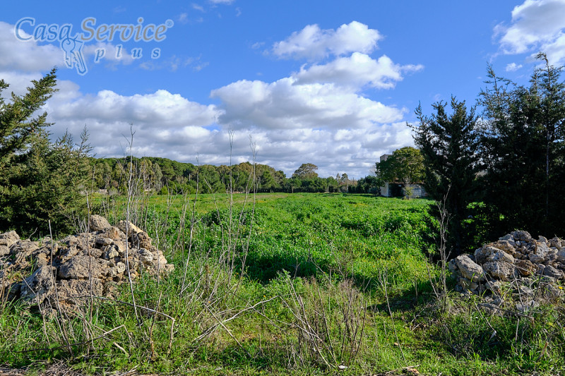 Immagine 3 di Terreno in vendita  in Località Li Foggi a Gallipoli