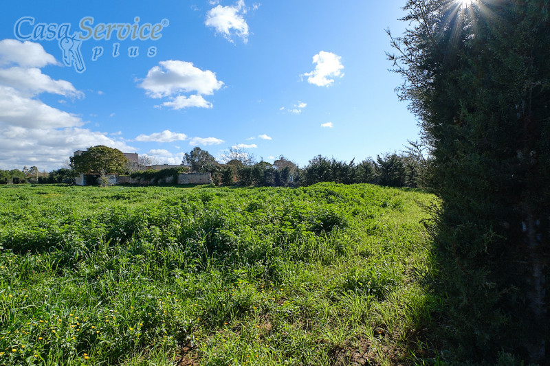 Immagine 4 di Terreno in vendita  in Località Li Foggi a Gallipoli