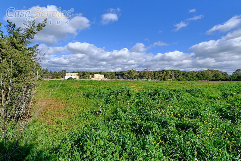 Immagine 5 di Terreno in vendita  in Località Li Foggi a Gallipoli