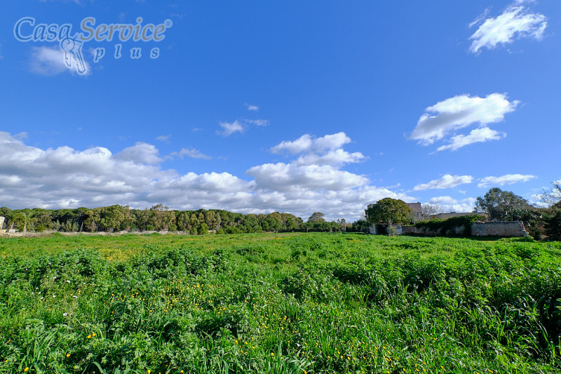 Immagine 6 di Terreno in vendita  in Località Li Foggi a Gallipoli