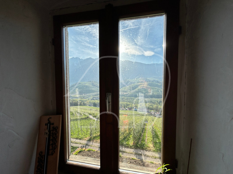 Foto annuncio 10