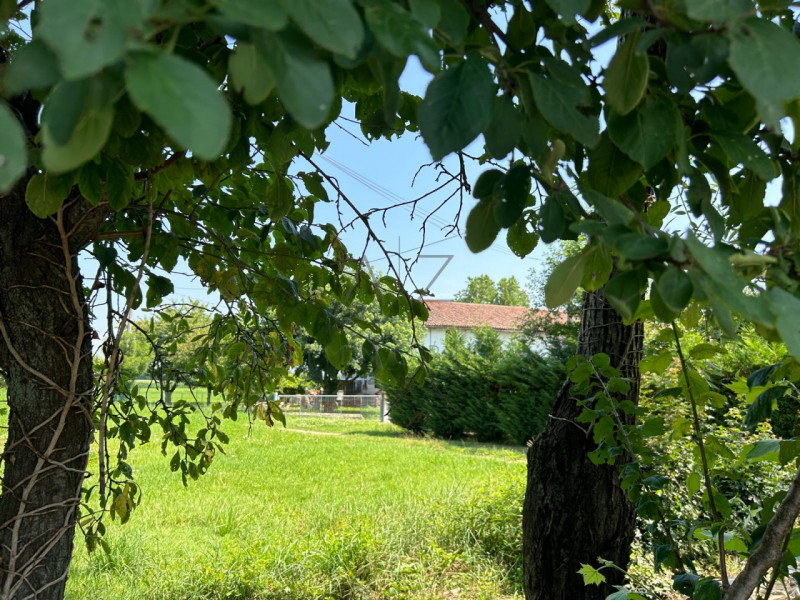 Immagine 2 di Rustico / casale in vendita  in Via Cervan a Castelfranco Veneto