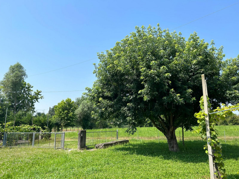 Immagine 4 di Rustico / casale in vendita  in Via Cervan a Castelfranco Veneto