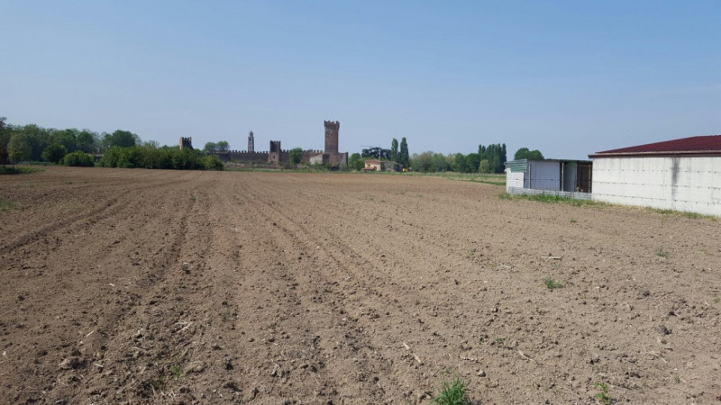 Immagine 3 di Casa bifamiliare in vendita  a Villimpenta