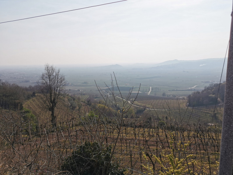 Immagine 5 di Terreno in vendita  in Via Soave a Soave
