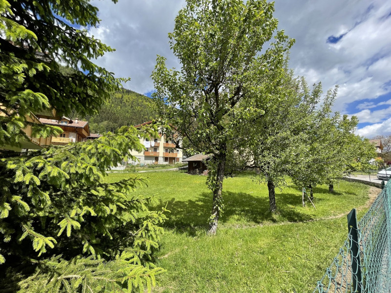 Immagine 3 di Terreno in vendita  in Via Mazzini a Porte Di Rendena