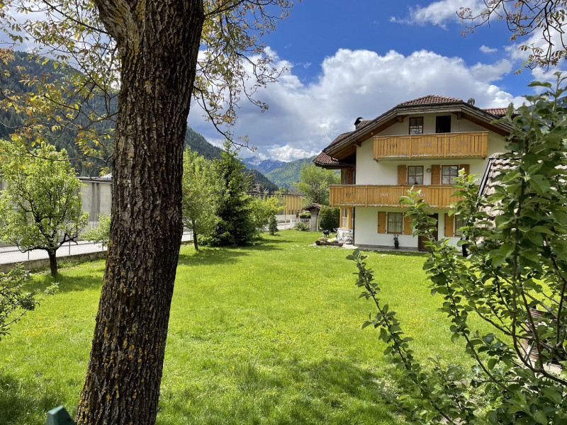 Immagine 5 di Terreno in vendita  in Via Mazzini a Porte Di Rendena