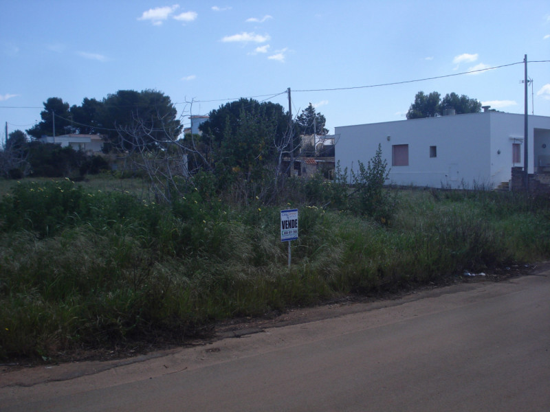 Immagine 3 di Terreno in vendita  a Racale