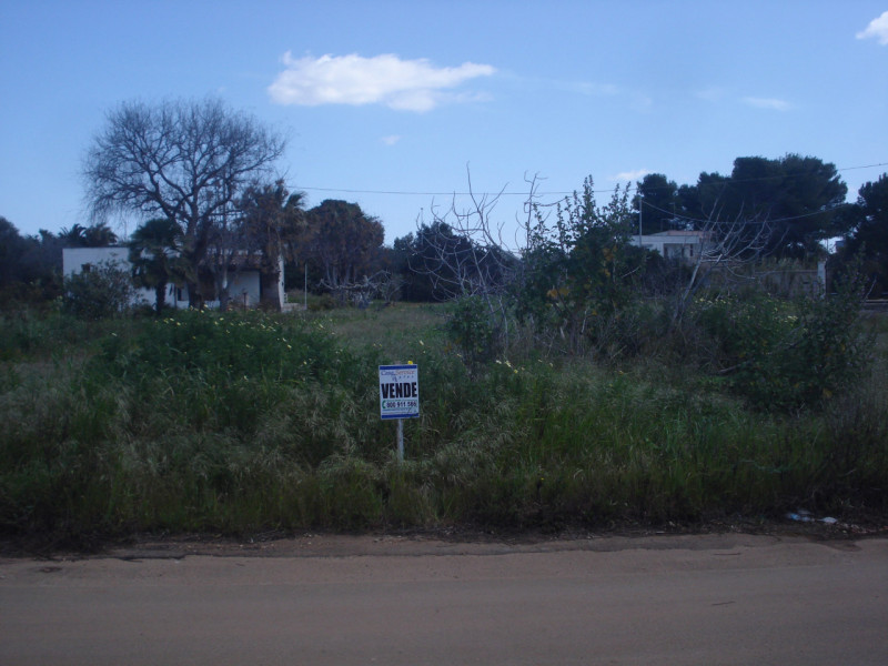 Immagine 4 di Terreno in vendita  a Racale