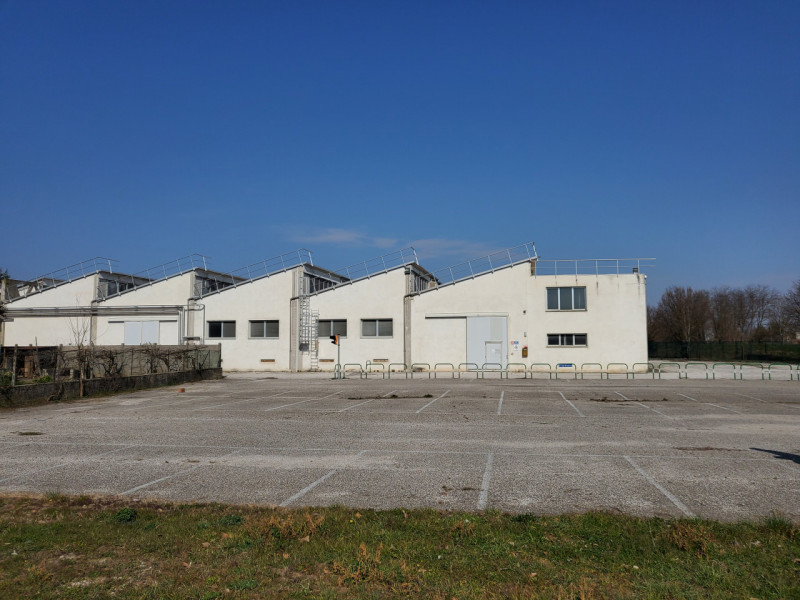 Immagine 7 di Capannone industriale in vendita  in Pernumia a Pernumia