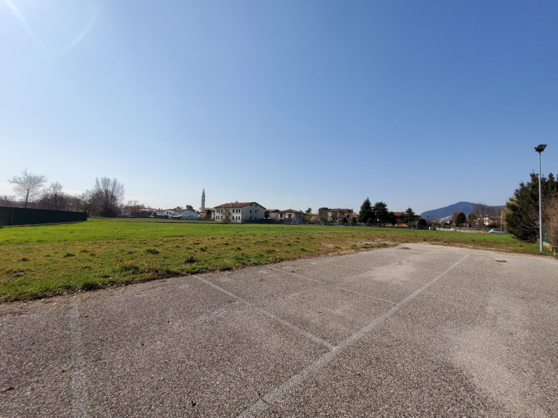 Immagine 9 di Capannone industriale in vendita  in Pernumia a Pernumia