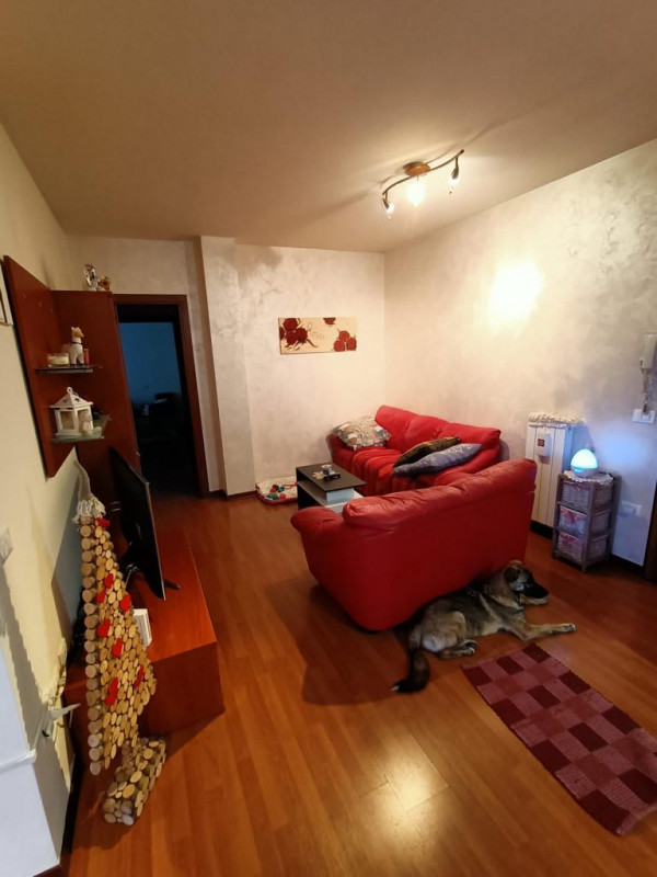 Foto annuncio 13