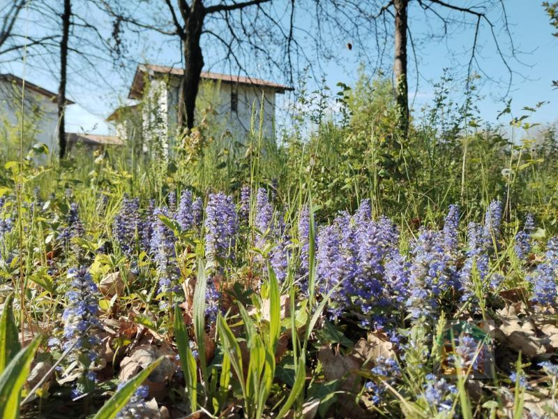 Immagine 2 di Terreno in vendita  in via dal crist a Aiello Del Friuli