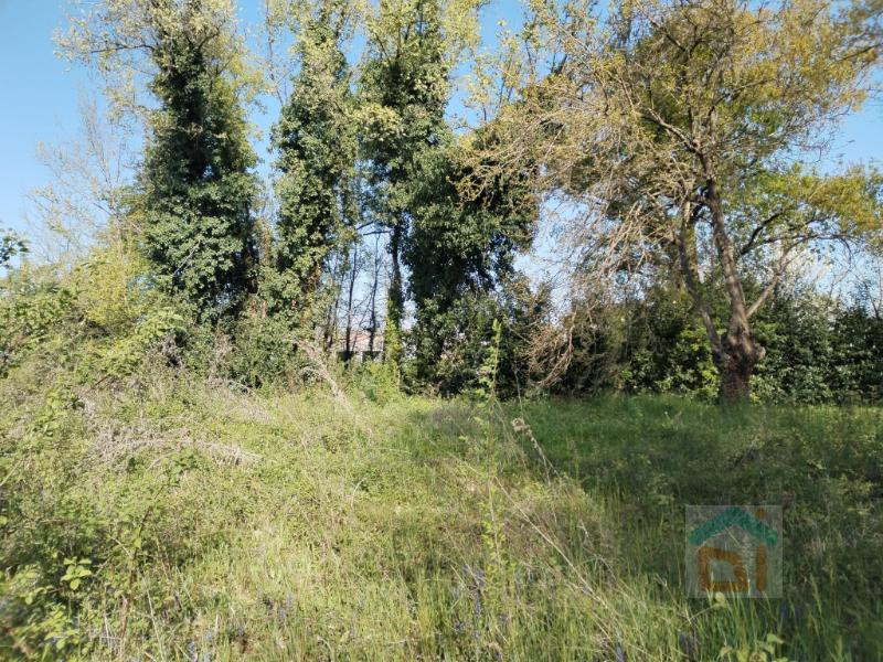 Immagine 8 di Terreno in vendita  in via dal crist a Aiello Del Friuli