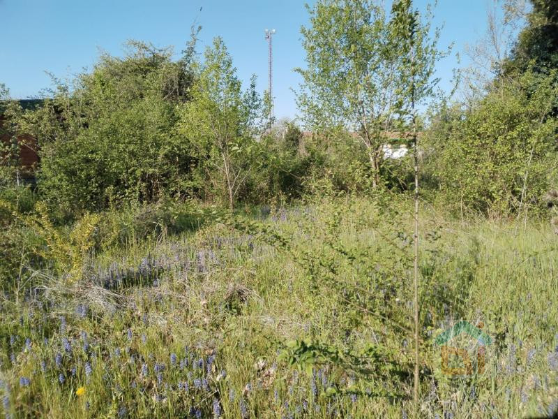Immagine 15 di Terreno in vendita  in via dal crist a Aiello Del Friuli