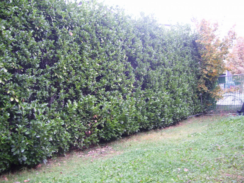 Immagine 15 di Casa bifamiliare in vendita  in Via Chiesa a Monticello Conte Otto