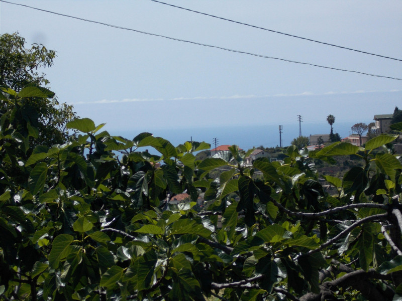 Immagine 9 di Terreno in vendita  in Via  Giacomo Leopardi a San Remo