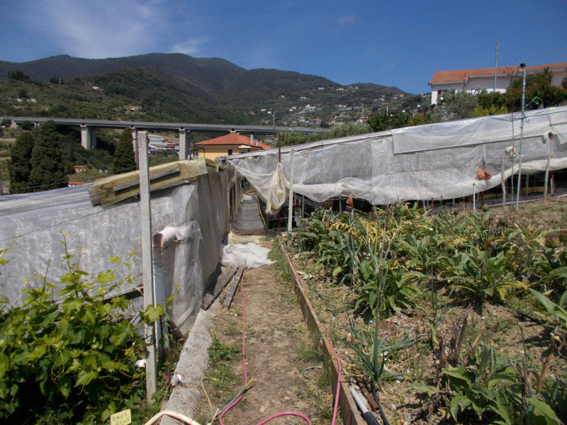 Immagine 12 di Terreno in vendita  in Via  Giacomo Leopardi a San Remo