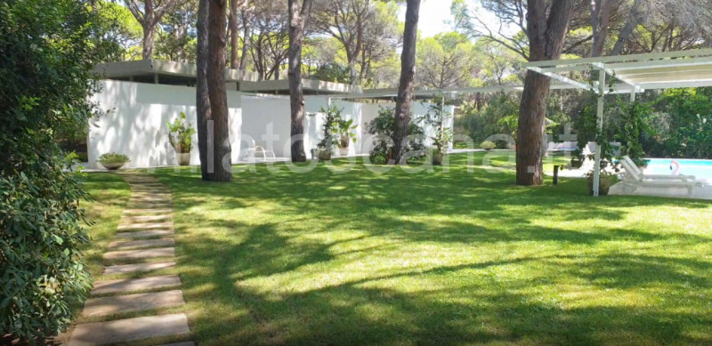 Immagine 6 di Villa in vendita  in Roccamare a Castiglione Della Pescaia