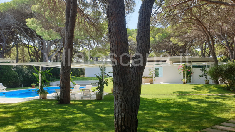 Immagine 9 di Villa in vendita  in Roccamare a Castiglione Della Pescaia