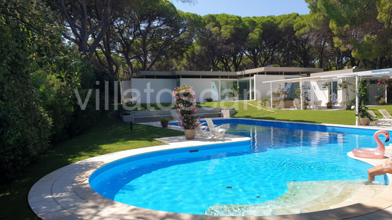 Immagine 10 di Villa in vendita  in Roccamare a Castiglione Della Pescaia