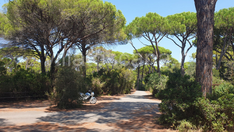 Immagine 13 di Villa in vendita  in Roccamare a Castiglione Della Pescaia