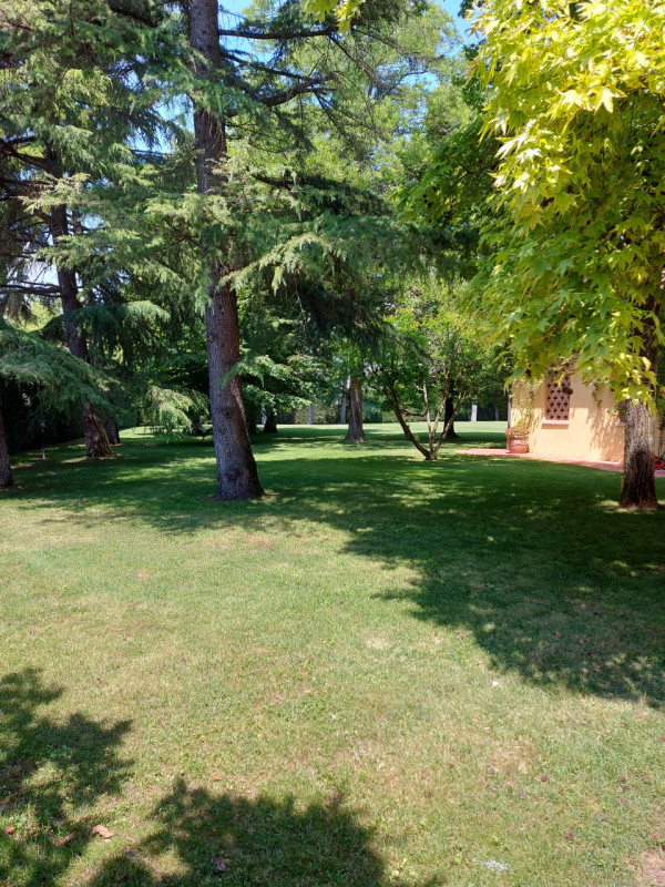 Immagine 1 di Villa in vendita  a Montegrotto Terme