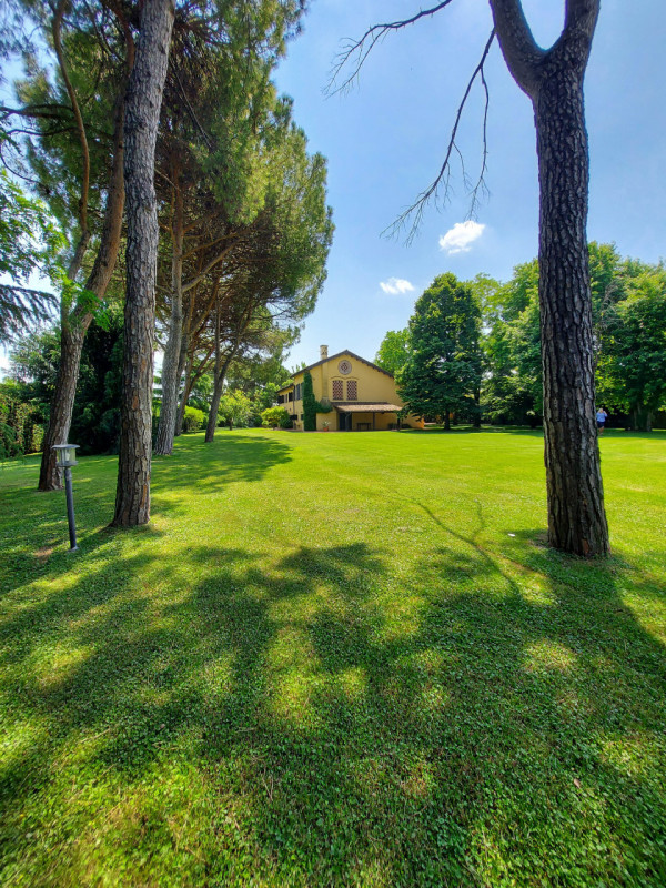 Immagine 38 di Villa in vendita  a Montegrotto Terme