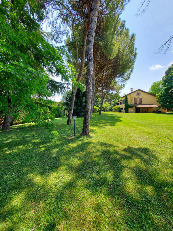 Immagine 41 di Villa in vendita  a Montegrotto Terme