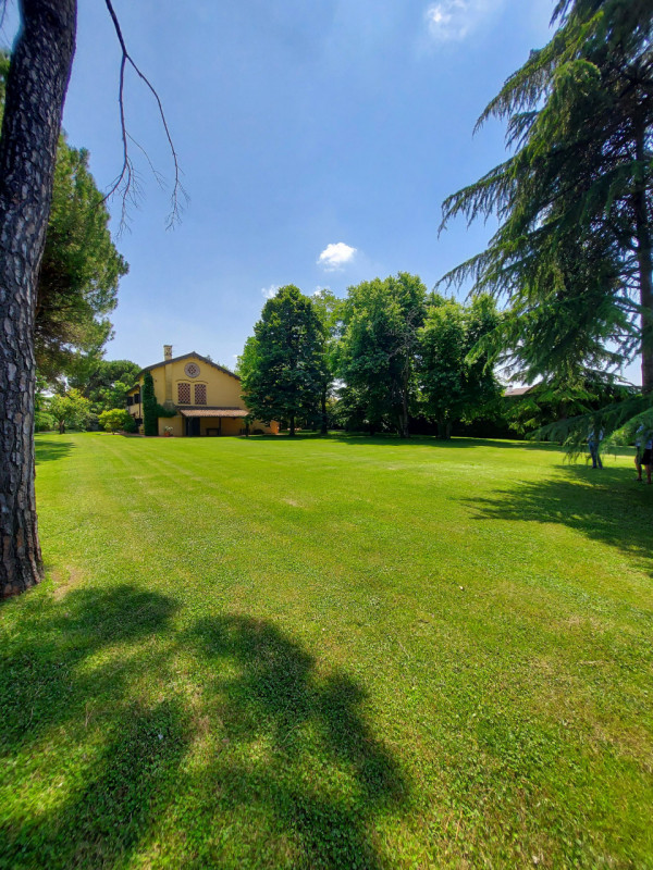 Immagine 42 di Villa in vendita  a Montegrotto Terme