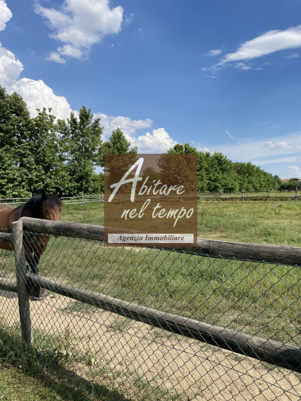 Immagine 2 di Villa in vendita  in CAMPO SAN MARTINO a Campo San Martino