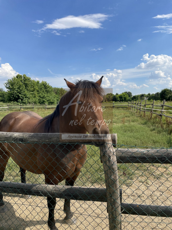 Immagine 3 di Villa in vendita  in CAMPO SAN MARTINO a Campo San Martino