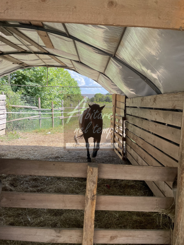 Immagine 26 di Villa in vendita  in CAMPO SAN MARTINO a Campo San Martino