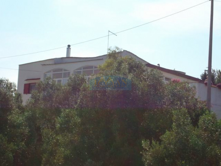 Immagine 16 di Villa in vendita  in ss581 a Ceglie Messapico