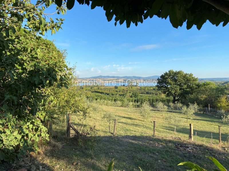 Immagine 31 di Appartamento in vendita  in i guidonami a Castiglione Del Lago