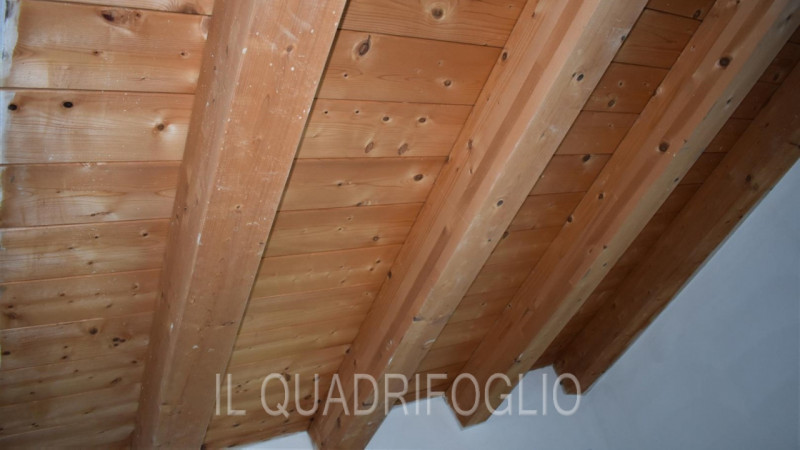 Immagine 8 di Appartamento in vendita  a Bertinoro