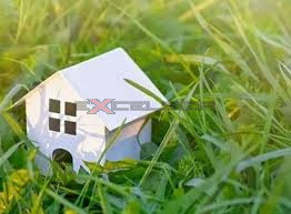 Immagine 1 di Terreno in vendita  in Via G. Matteotti 20 bis a Pettorazza Grimani