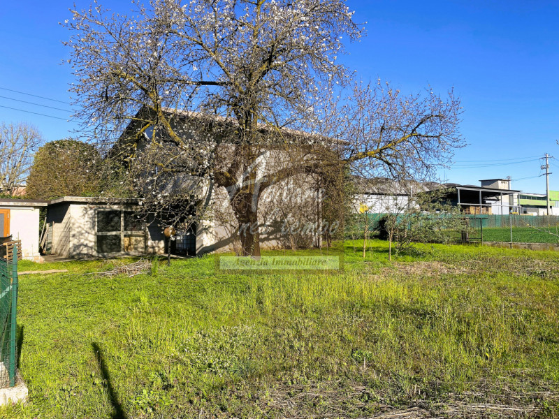 Immagine 3 di Rustico / casale in vendita  in Tombolo a Tombolo