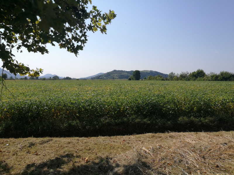 Immagine 10 di Rustico / casale in vendita  in Via Lovolo a Rovolon