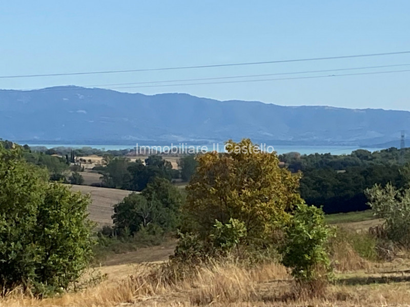 Immagine 2 di Rustico / casale in vendita  in casamaggiore a Castiglione Del Lago