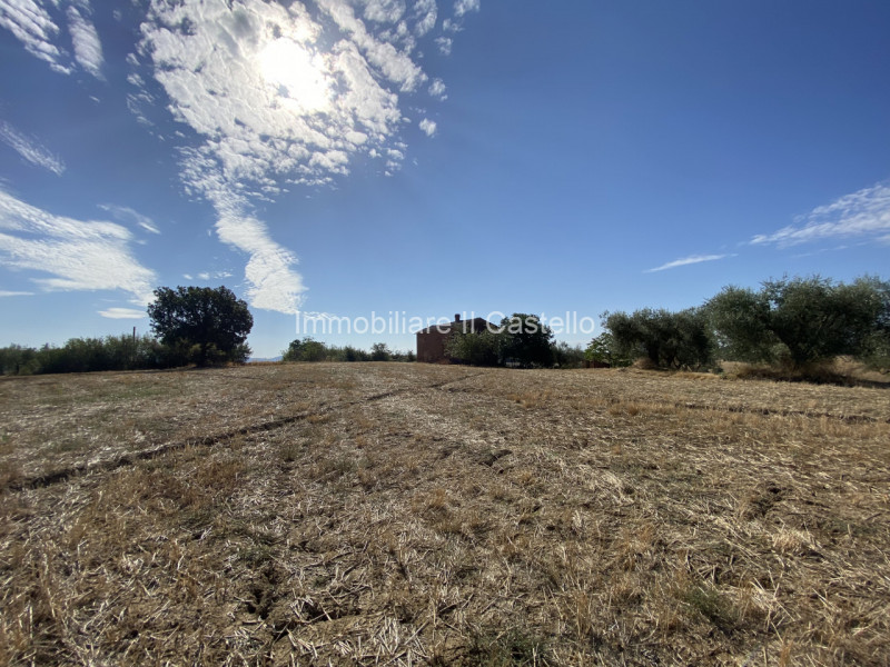 Immagine 14 di Rustico / casale in vendita  in casamaggiore a Castiglione Del Lago