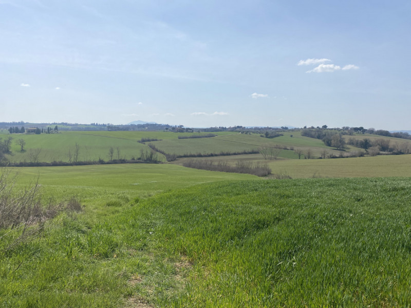 Immagine 15 di Rustico / casale in vendita  in casamaggiore a Castiglione Del Lago